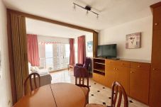 Apartment in Benidorm - R032