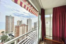 Apartment in Benidorm - R032