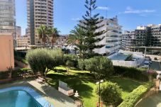 Apartment in Benidorm - R015