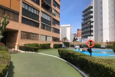 Apartment in Benidorm - R014