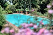 Villa in Castellina in Chianti - Villa in Castellina w. Pool, Garden & Winery