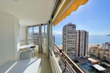 Apartment in Benidorm - R045