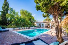 Private pool of the Can Massinet villa in Sant Jordi