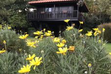 Bungalow in Arcos de Valdevez - Casa do Espigueiro I - Quinta Lamosa