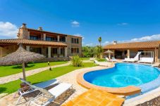 Villa in Alcudia - Villa Padilla