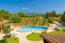 Villa in Alcudia - Villa Padilla