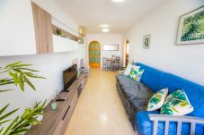 Apartment in Torrevieja - ID27