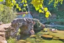 Cottage in Terras de Bouro - Casa Museu Lagar de Azeite