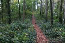 Kinnitty Castle Loop Trailhead, Kinnitty, County Offaly