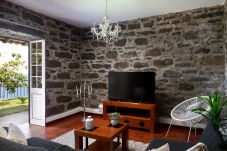 Traditional and rustic living room