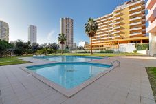 Apartment in Portimão - PRAIA DA ROCHA CENTRAL WITH POOL by HOMING