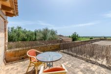 Farm stay in Campos - YourHouse Son Sala Terrat Apartment in Agroturismo