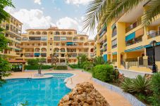 Apartment in La Mata - 014 Pretty Pool - Alicante Holiday