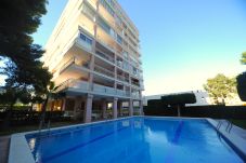 Apartment in Benicàssim - LA PINADA 8-G