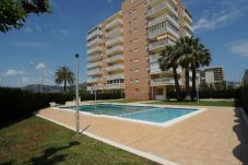 Apartment in Benicàssim - PLAYASOL 2-8-C