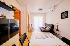 Apartment in Torrevieja - ID90