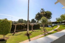 Apartment in Alcocebre / Alcossebre - Bajo con terraza y piscina PLAYA LAS FUENTES