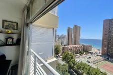 Apartment in Benidorm - R125