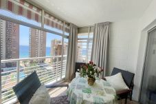 Apartment in Benidorm - R125