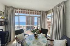 Apartment in Benidorm - R125