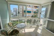 Apartment in Benidorm - R127