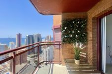 Apartment in Benidorm - R134