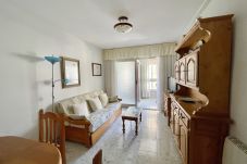 Apartment in Benidorm - R138