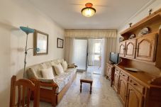 Apartment in Benidorm - R138