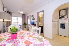 Apartment in Torrevieja - ID41