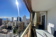 Apartment in Benidorm - R145