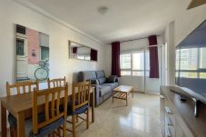 Apartment in Benidorm - R159