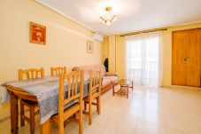 Apartment in Torrevieja - ID91