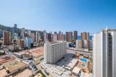 Apartment in Benidorm - Acuarium II 14-C Apartment Levante Beach