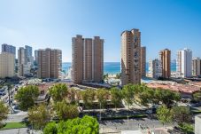 Studio in Benidorm - Albatros 13-8 Estudio Levante Beach