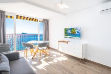 Apartment in Benidorm - Las Damas 12-E Levante Beach