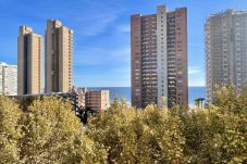 Apartment in Benidorm - N062B