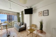 Apartment in Benidorm - N062B