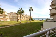 Apartment in Alcocebre / Alcossebre - Alcala Blau Bajo con Terraza - Alcossebre