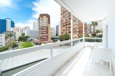 Aparthotel in Benidorm - Apartamentos Les Dunes Centro 1-B Levante Beach