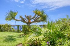 Villa in Funchal - Casa das Bromelias, a Home in Madeira