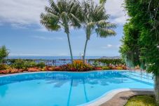 Villa in Funchal - Casa das Bromelias, a Home in Madeira