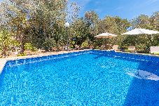 Villa in Campos - SA TORRETA - Villa with private pool in Campos