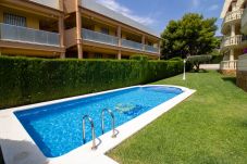 Apartment in Alcocebre / Alcossebre - Bajo con terraza junto a la piscina - Madeira