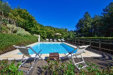 Villa in Lucca - Villa Casale di Rosa Large Private Pool, WiFi