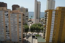 Apartamento en Benidorm - LOS PINOS 12B