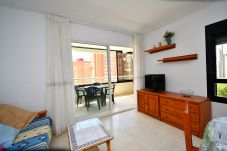 Apartamento en Benidorm - PARQUE EUROPA 13D2