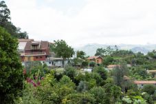 Casa en Gerês - Olival Guimarães