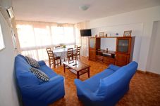 Apartamento en Benidorm - APARTAMENTO BENIDORM 3