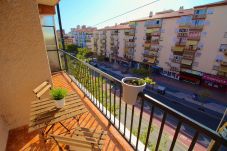 Apartamento en Benidorm - APARTAMENTO BENIDORM 3