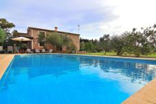 casa, finca, piscina, jardín, verde, azul, barbacoa 